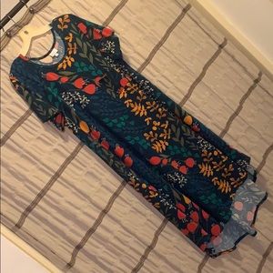 LuLaRoe Carly dress XL